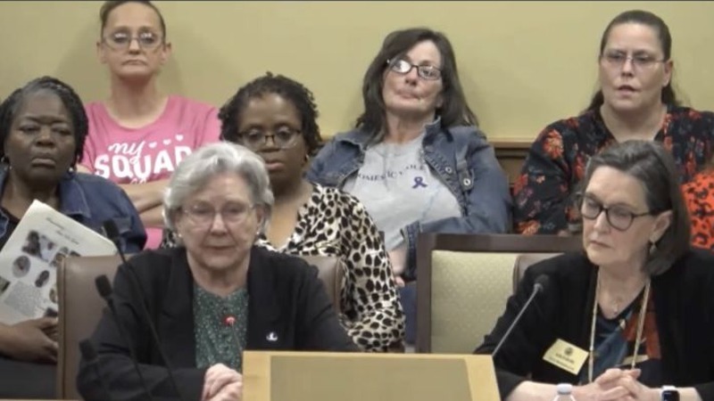 Elaine Colclasure speaking at an Arkansas legislative hearing