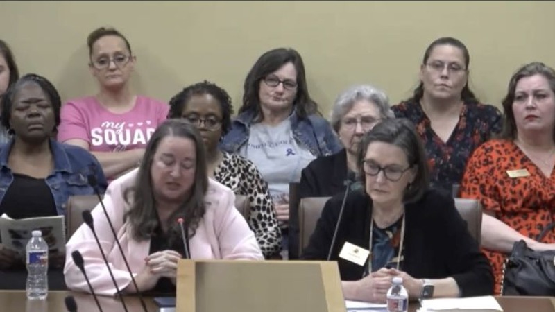 Laura Abbott speaking at an Arkansas legislative hearing