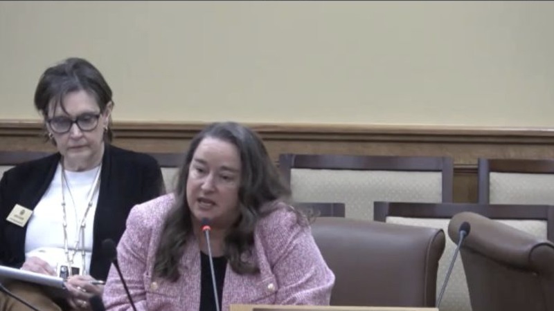 Laura Abbott speaking at an Arkansas legislative hearing, second video