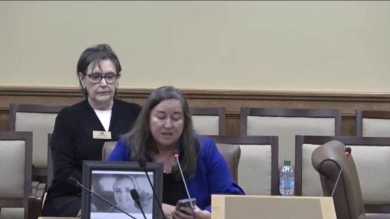 Leslie Abbott Boone speaking at an Arkansas legislative hearing