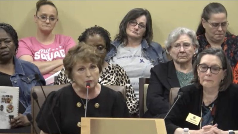 Susan Hutchinson speaking at an Arkansas legislative hearing